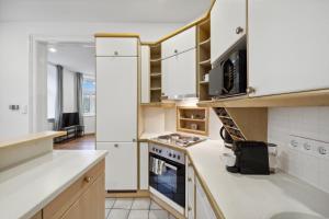 A kitchen or kitchenette at Big spacious central apartment in Vienna