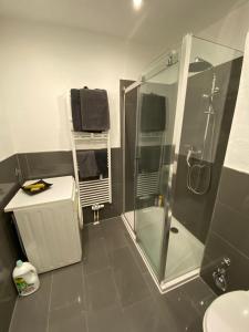 布萊梅的住宿－Findorff，带淋浴和盥洗盆的浴室