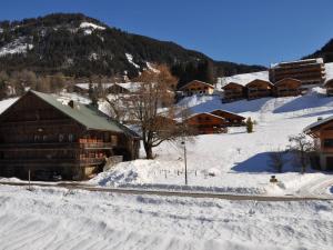 Obiekt Bel appartement à Châtel près du centre et des télécabines, avec Multi Pass été à 3€/jour/personne - FR-1-693-63 zimą