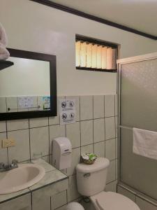 La salle de bains est pourvue de toilettes, d'un lavabo et d'un miroir. dans l'établissement Brillasol Airport Hotel, à Alajuela