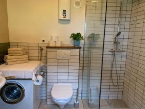 Koupelna v ubytování Ferienhaus Gaiswinkler + 16 fotografií
