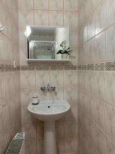 a bathroom with a sink and a mirror at Pokoje gościnne Pod Lwami in Kudowa-Zdrój