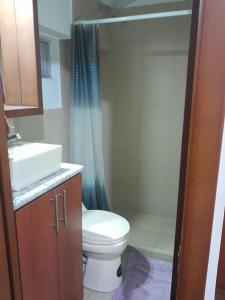 y baño con aseo, lavabo y ducha. en LA CASA DE SYLVANA, en Quito