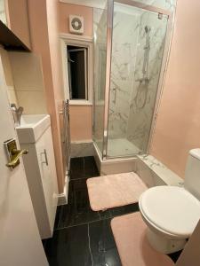 a bathroom with a shower and a toilet at 1 bedroom Luxury Apartments by London City in London