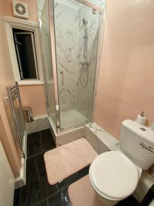 a bathroom with a shower and a toilet and a sink at 1 bedroom Luxury Apartments by London City in London