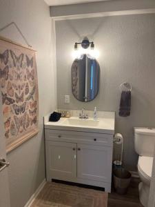 a bathroom with a sink and a toilet and a mirror at The Delores - 2 Bedroom Apt in Quilt Town, USA in Hamilton