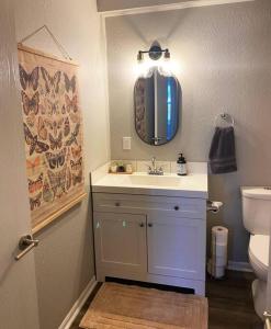 a bathroom with a sink and a toilet and a mirror at The Delores - 2 Bedroom Apt in Quilt Town, USA in Hamilton