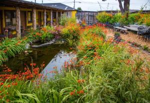 a garden with flowers and a pond in front of a building at The Front Porch Hidden Oasis in Arcata