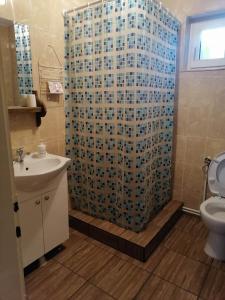 La salle de bains est pourvue d'une douche, d'un lavabo et de toilettes. dans l'établissement Casa Agroturistică Teodora, à Mănăstirea Humorului