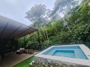a swimming pool in the middle of a yard at Casa Hotel Bremen in Circasia
