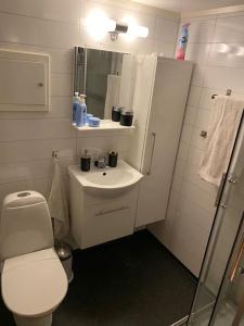 a small bathroom with a toilet and a sink at Vikran Apartments Na Końcu Świata in Vikran
