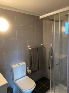 a bathroom with a toilet and a shower at Casa da Nora in Póvoa de Lanhoso