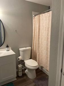y baño con aseo y cortina de ducha. en The Irene - 2 Bedroom Apt in Quilt Town, USA, en Hamilton