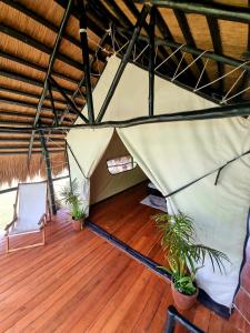 a tent with two plants and two chairs on a wooden floor at Binga Beach Palawan Glamping in San Miguel