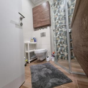 y baño con ducha, aseo y alfombra. en GOX Apartman, en Subotica