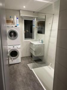 y baño con lavadora y lavamanos. en Appartement Cosy Strasbourg, en Schiltigheim