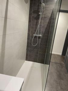 y baño con ducha y puerta de cristal. en Appartement Cosy Strasbourg, en Schiltigheim