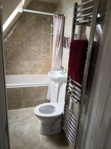 a bathroom with a white toilet and a sink at Lovely Cosy Apartment near Water Parks in South Cerney