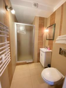 een badkamer met een douche, een toilet en een wastafel bij Domek Pod Lisem Szczawnica in Szczawnica +16 foto's