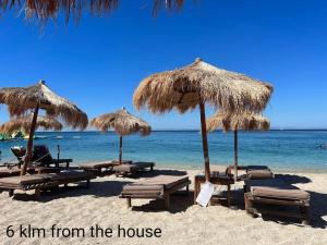 a beach with straw umbrellas and chairs and the ocean at Penthouse with an incredible view 350m from metro station! in Athens