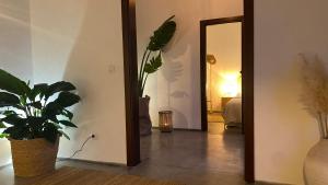 a hallway with a potted plant and a mirror at Casa Moni con Vistas al Mar in Playa de Santiago