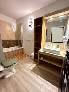 a bathroom with a sink and a toilet and a mirror at Duplex rénové - 2 chambres 7 personnes vue pistes in Les Orres