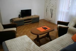 a living room with a coffee table and a tv at Apartman Kneginja in Trstenik