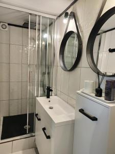 La salle de bains est pourvue d'un lavabo, d'une douche et d'un miroir. dans l'établissement 35m2 Hauts d'Albertville Terrasse avec Vue, à Pallud