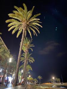 Kép Perla Negra szállásáról Torreviejában a galériában