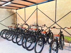 a row of bikes parked next to a wall at InterContinental Presidente Cancun Resort in Cancún