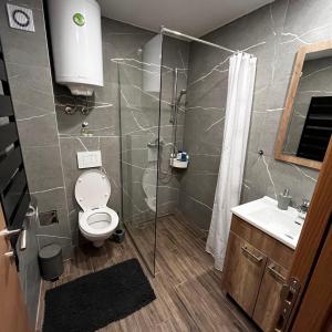 a bathroom with a shower and a toilet and a sink at President Kop - Silver Ice Apartment in Kopaonik