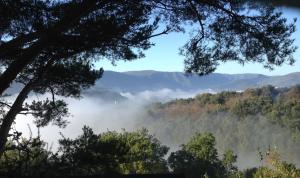 a view of a valley with fog in the trees at 116 Espigarie in Le Vigan