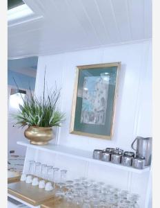 a shelf with glasses and a potted plant on it at Salvatore Room With Breakfast-Sea View in Suez