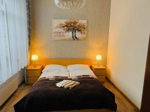 a bedroom with a bed with two lamps on both sides at Apartmány KAMZÍK Donovaly in Donovaly