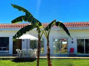 Un jardín fuera de Central Villa with Pool Garden 5km Sea Cabo