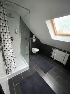 Foto dalla galleria di Maison détente équipée d un grand sauna a Gingsheim Altre 16 foto