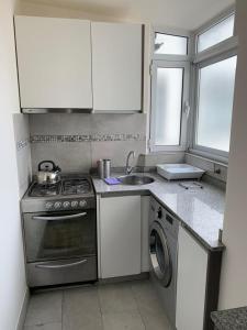 a small kitchen with a stove and a sink at Barrancas de Belgrano in Buenos Aires