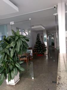 un árbol de Navidad en medio de un pasillo con una planta en Condominio Edificio Thaiti, en Guarujá