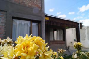 Une bande de fleurs jaunes devant un bâtiment dans l'établissement Casagrande, à Esquel