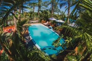 an overhead view of a swimming pool with palm trees at Cabañas Riberas del Paraná in Puerto Iguazú