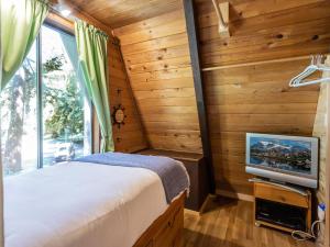 TV a/nebo společenská místnost v ubytování Forest View Chalet