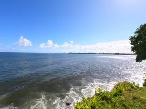 uma vista para o oceano a partir da costa em Hilo Bay Oceanfront Bed and Breakfast em Hilo