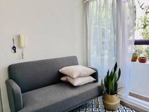 un sofá gris sentado en una habitación con ventana en Acogedor y luminoso departamento Condesa, en Ciudad de México