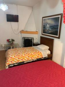 1 dormitorio con 1 cama grande con manta roja en Hostal THE IMPERIAL, en Quito