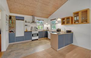 a kitchen with blue cabinets and a wooden ceiling at Nice Home In Gedser With Wifi in Gedser