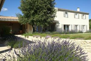 Κήπος έξω από το La Bastide au Ventoux