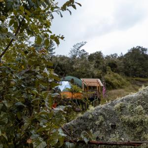 Zahrada ubytování ReverdeSer Glamping