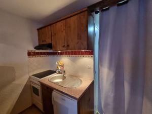 a small kitchen with a sink and a shower curtain at Studio Saint-Michel-de-Chaillol, 1 pièce, 4 personnes - FR-1-393-134 in Saint-Michel-de-Chaillol