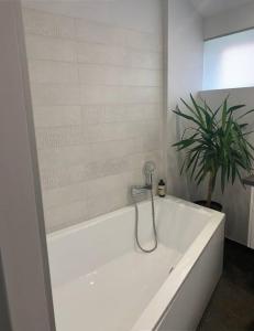 a white bath tub with a plant in a bathroom at Lapa House in Mrągowo