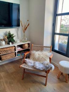 a dog laying on a chair in a living room at A l'Ombre de la Dame in Cucuron